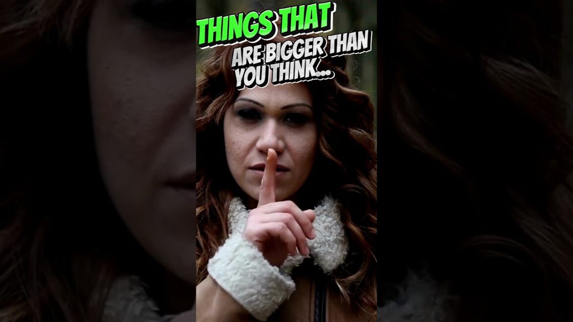 Things that are bigger than you think #shorts #facts #trending