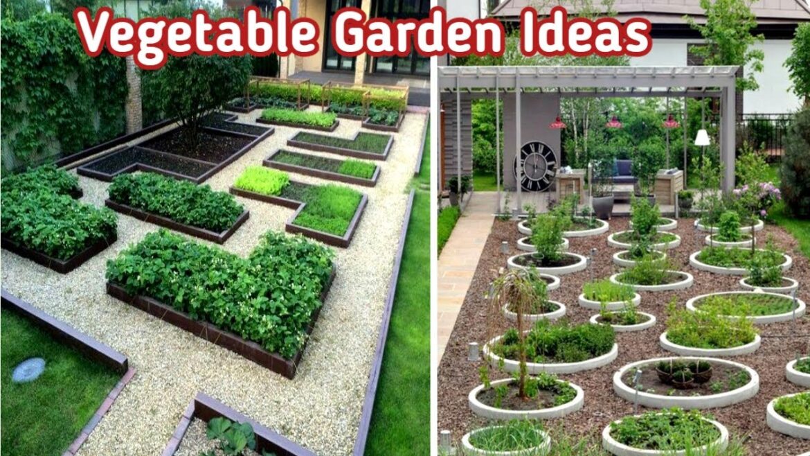Gardening ideas for Home/vegetable garden at Home/homemade garden ideas/vegetable gardening ideas