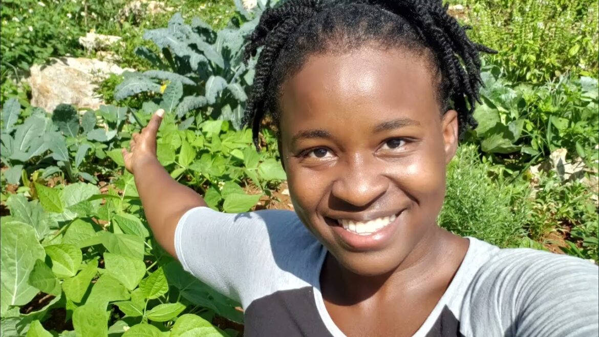 Epic Vegetable Garden Tour|May 2023|Jamaican Backyard Garden #homestead #gardentour #epic Epic Vegetable Garden Tour|May 2023|Jamaican Backyard Garden #homestead #gardentour #epic