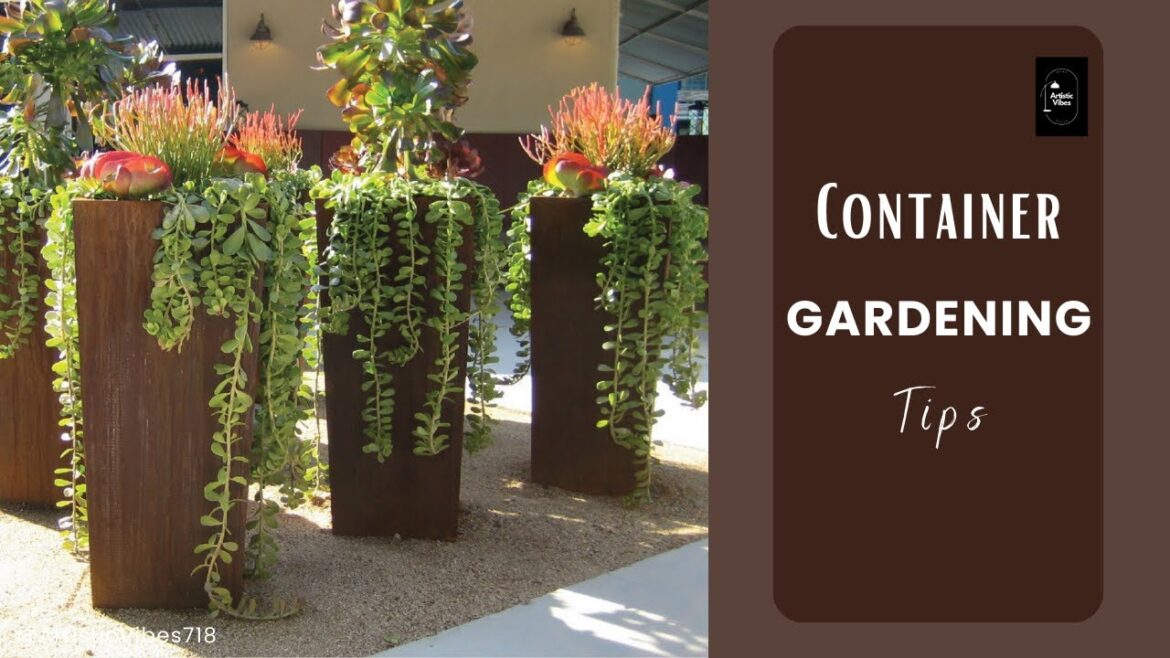 Container Gardening Tips | Container Gardening Ideas | Container Designs |Garden Decor |Garden Ideas Container Gardening Tips | Container Gardening Ideas | Container Designs |Garden Decor |Garden Ideas