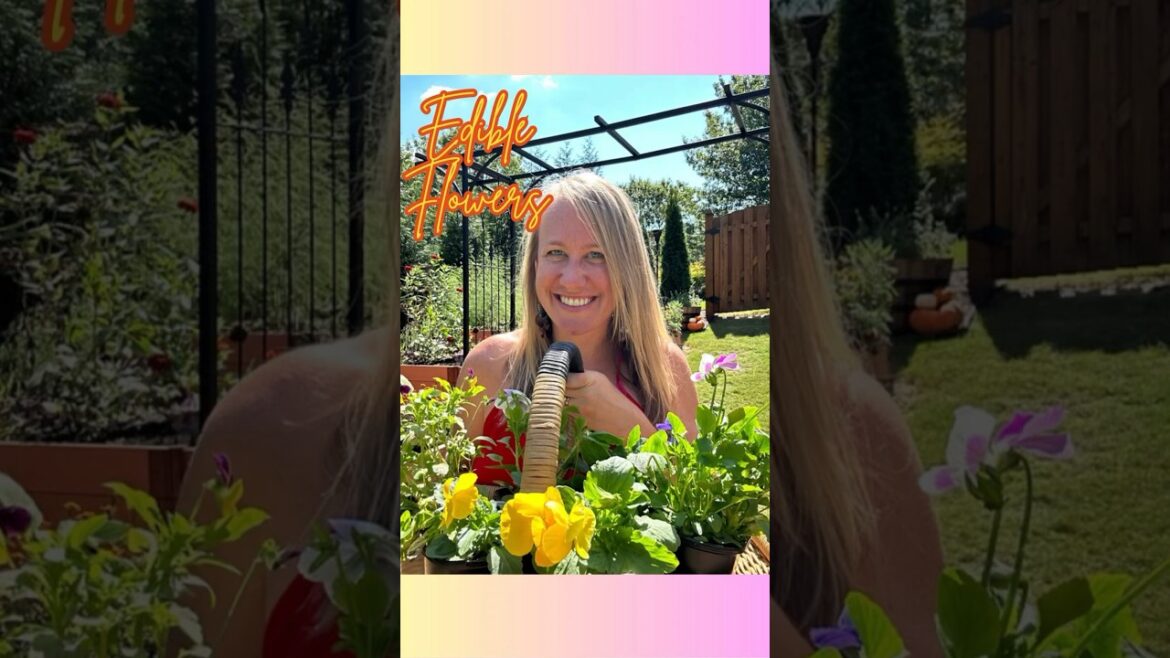 Home Gardening Flowers – Do You Grow These EDIBLE Flowers In Your Garden? Home Gardening Flowers - Do You Grow These EDIBLE Flowers In Your Garden?