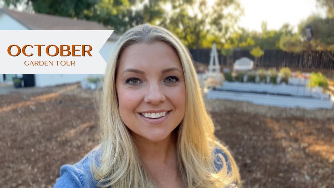 October Garden Tour! :: Dig, Plant, Water, Repeat October Garden Tour! :: Dig, Plant, Water, Repeat