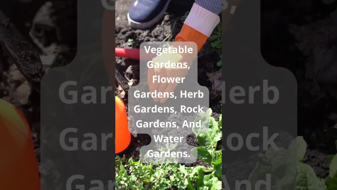Gardening Facts #5 - Different types of gardens #shorts #garden #gardening #shortvideo #nongmo