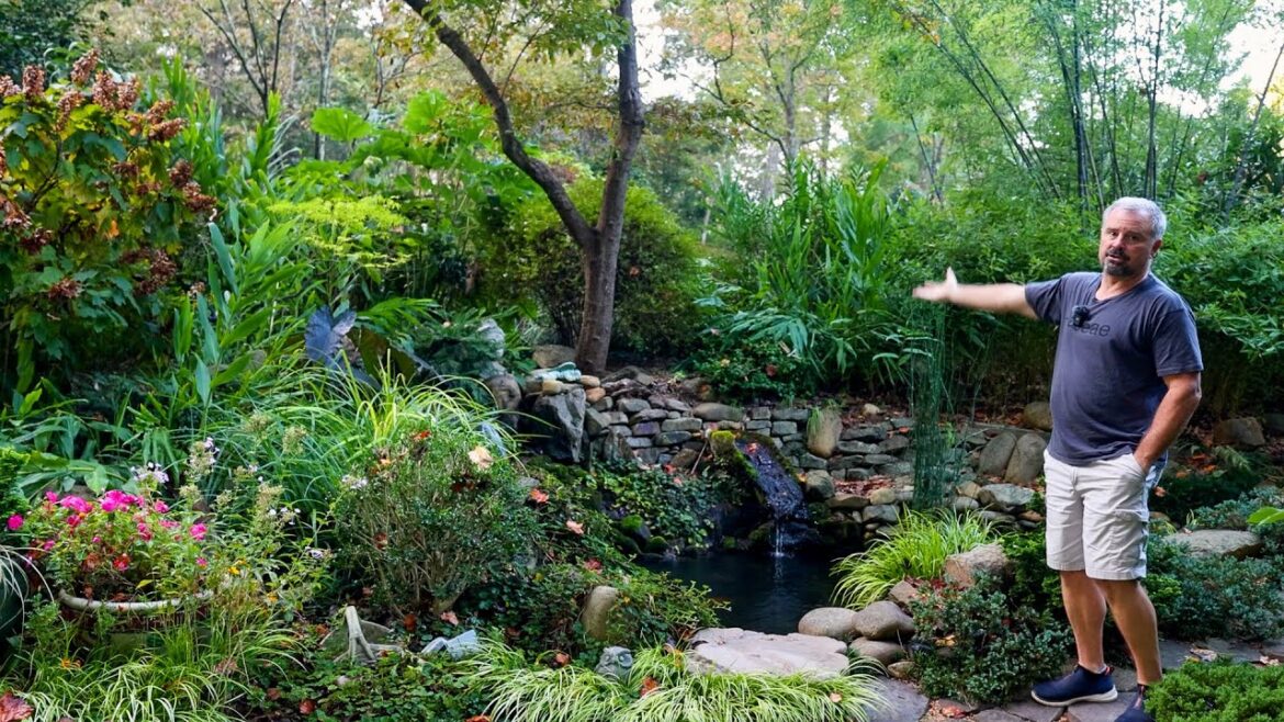 Look at this Garden Look at this Garden