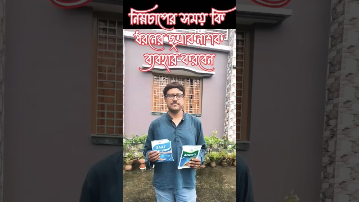 Gardening Tips | #gardeningvideos #shortsfeed #gardeningtips