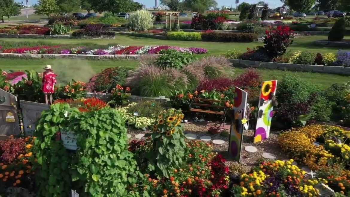 All-America Selections Flowers & Vegetables: First Place: Noelridge Park Gardens, Cedar Rapids, Iowa First Place: Noelridge Park Gardens, Cedar Rapids, Iowa