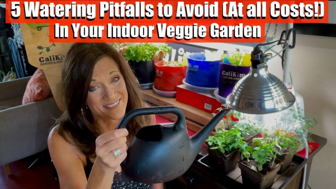CaliKim: 5 Watering Pitfalls to Avoid (At all Costs!) in Your Indoor Vegetable Garden 5 Watering Pitfalls to Avoid (At all Costs!) in Your Indoor Vegetable Garden