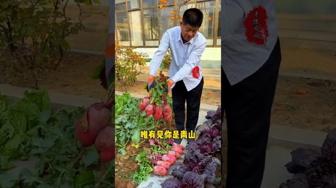 Beautiful Nature Garden Plan Natural life Style Beautiful landscapes