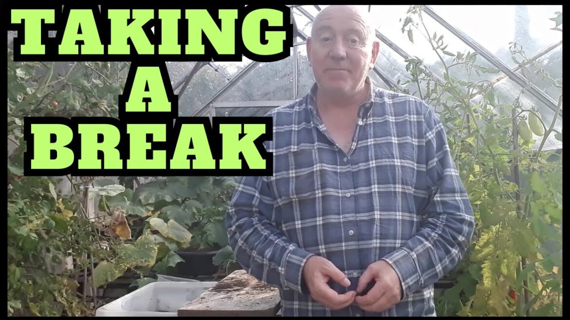 Taking A Break [Gardening Allotment UK] [Grow Vegetables At Home ]