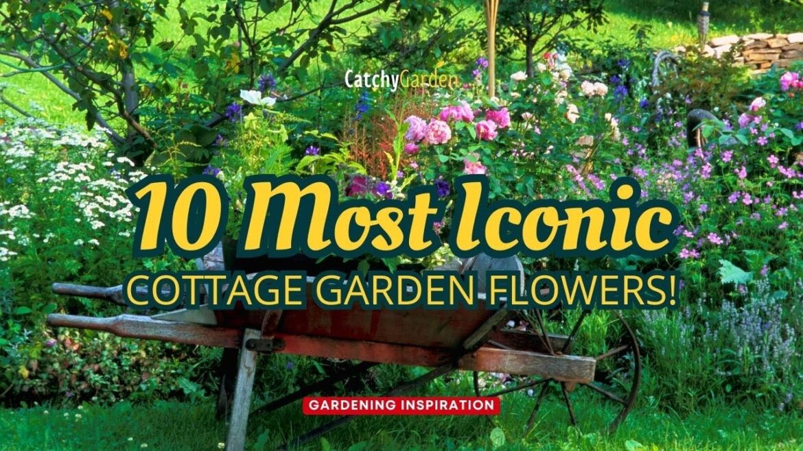 10 Most Iconic Cottage Garden Flowers! 🏡🌹🌺❤️️
