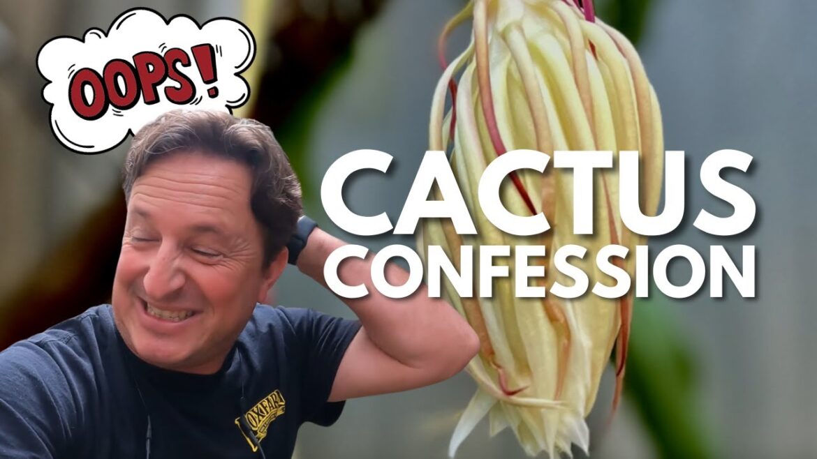 Cactus Confession time 🌵 + Home Garden Tour Cactus Confession time 🌵 + Home Garden Tour