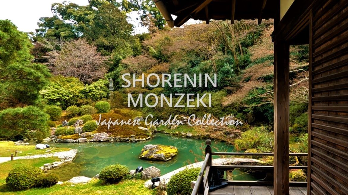 Pond Garden, Moss Garden, Bamboo fence | Japanese Garden Tour in KYOTO | SHORENIN MONZEKI Pond Garden, Moss Garden, Bamboo fence | Japanese Garden Tour in KYOTO | SHORENIN MONZEKI