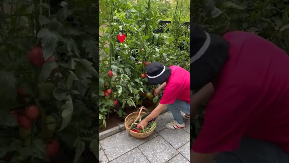 Beautiful Nature Garden Plan Natural life Style Beautiful landscapes Beautiful Nature Garden Plan Natural life Style Beautiful landscapes