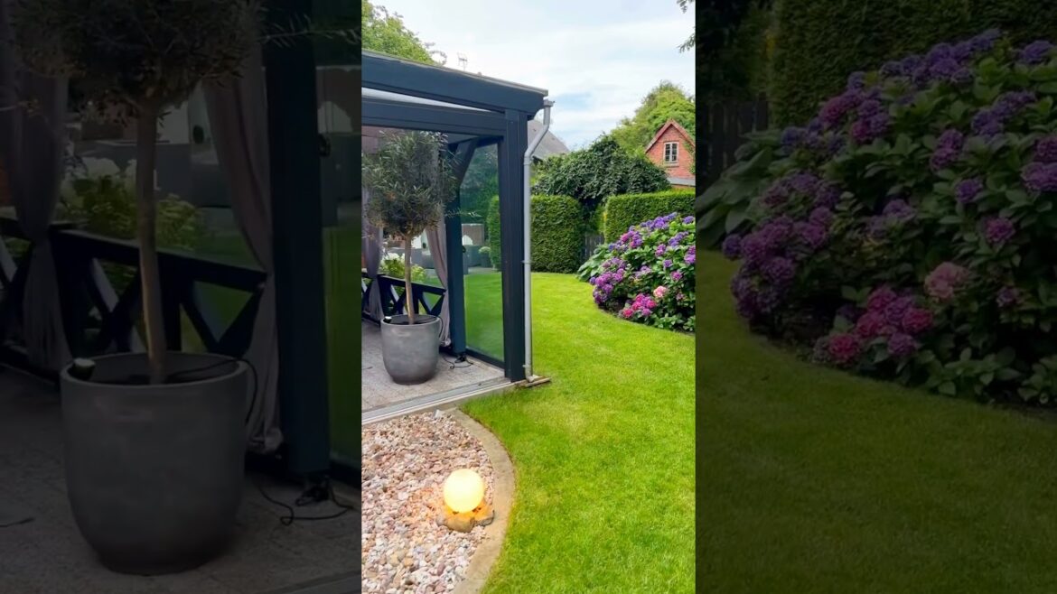 Gorgeos Backyard garden Landscaping #shorts #trends #gardening #homedecor