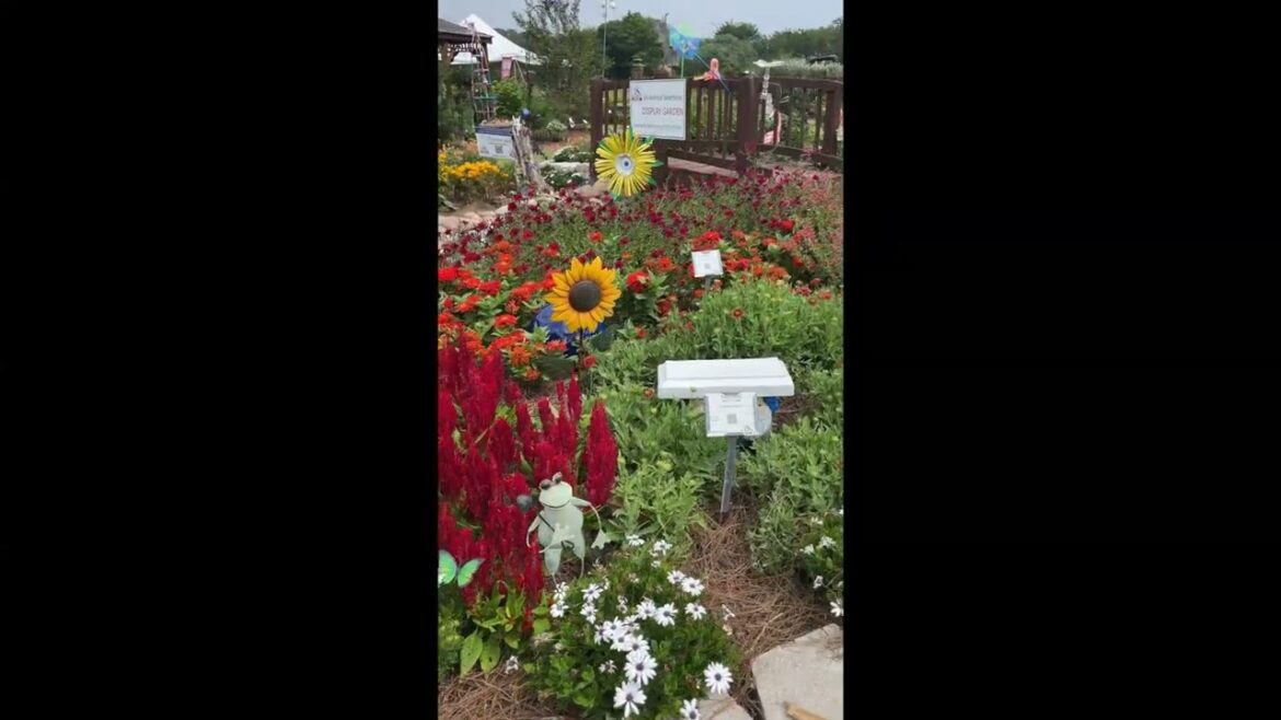 All-America Selections Flowers & Vegetables: First Place: Mississippi State Univ-South Mississippi Branch Experiment Station, Poplarville, MS First Place: Mississippi State Univ-South Mississippi Branch Experiment Station, Poplarville, MS