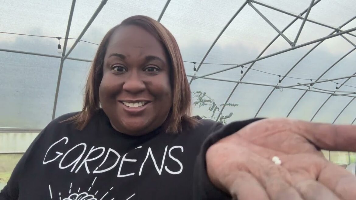 OCTOBER FALL GARDEN TOUR | 1st FALL TOUR-ZONE 7 OCTOBER FALL GARDEN TOUR | 1st FALL TOUR-ZONE 7