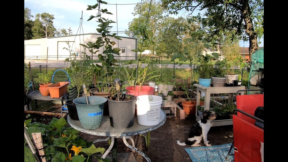 FULL OCTOBER GARDEN TOUR