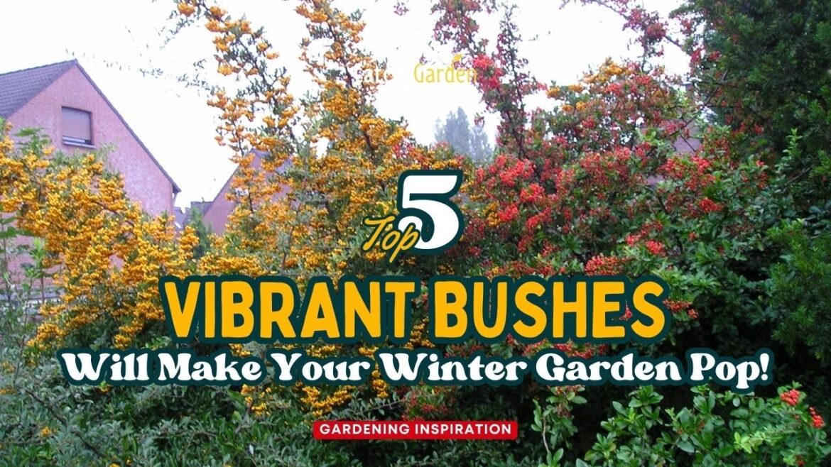 Top 5 Vibrant Bushes Will Make Your Winter Garden Pop 🌸🌷❄️