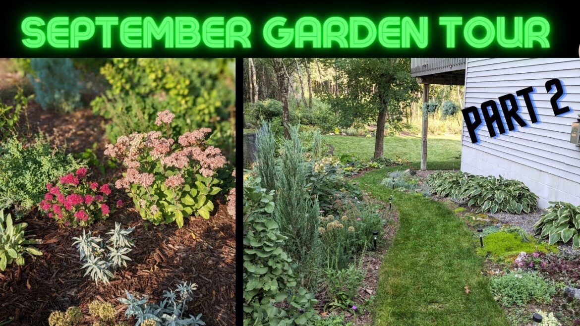 My Last Garden Tour of the Year! - September 2023 Part 2 - Front & Side Yard | Serenity Now Garden