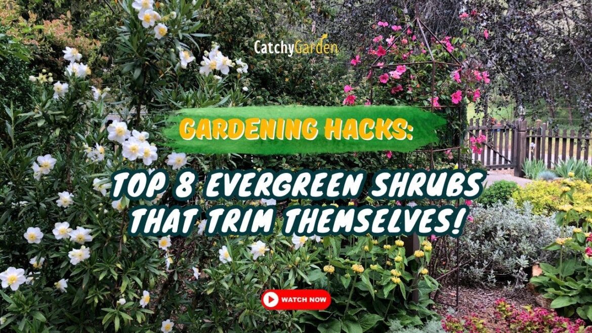 Gardening HACKS: 8 Evergreen Shrubs That Trim Themselves! 🌸🌿🌳