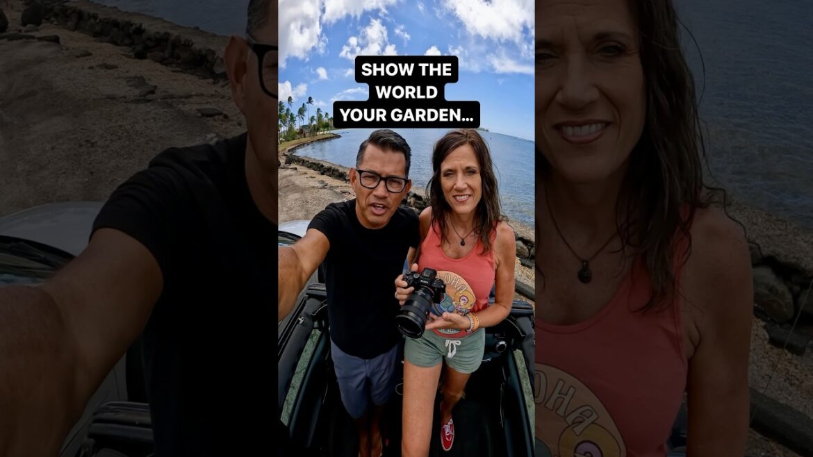 We’re traveling again - guesses where?