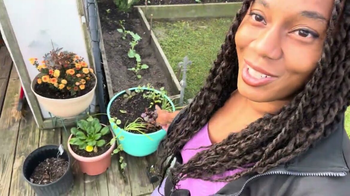 Fall / Winter Vegetable Garden Tour Cabbage, Broccoli, Carrots, Onion, And More #gardening #plants Fall / Winter Vegetable Garden Tour Cabbage, Broccoli, Carrots, Onion, And More #gardening #plants