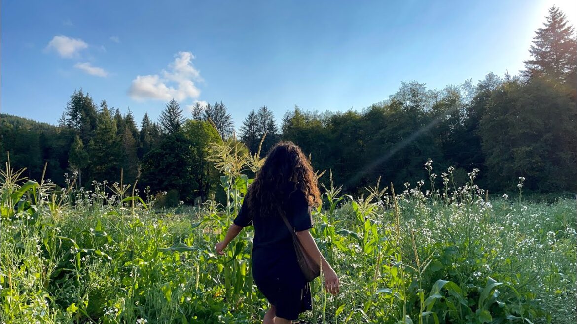 Nomadic Farming | Leaving the Oregon Farm for Fall on the Road Nomadic Farming | Leaving the Oregon Farm for Fall on the Road