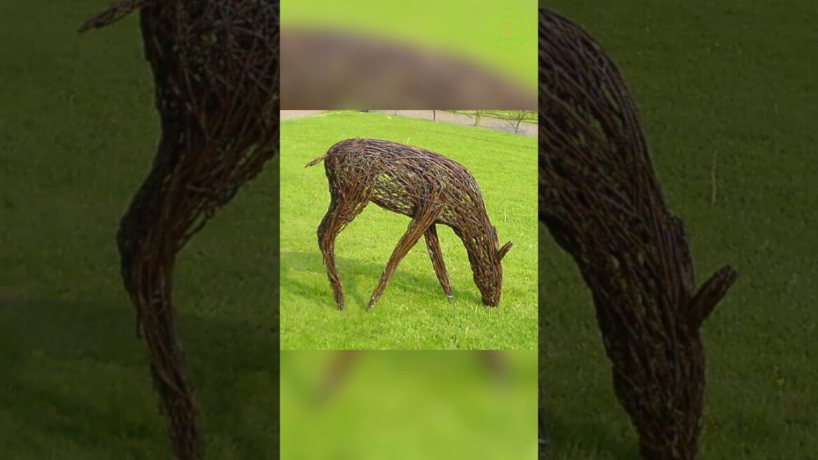 Incredibly beautiful DIY crafts made of vines