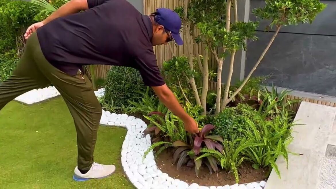 Most Beautiful Modern #landscape 1kanal house outside Garden Designing and Stone work 03004592737 Most Beautiful Modern #landscape 1kanal house outside Garden Designing and Stone work 03004592737