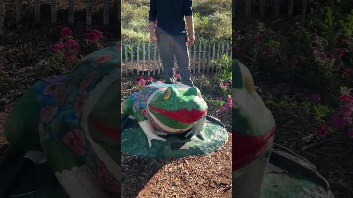 All-America Selections Flowers & Vegetables: Second Place: Green Bay Botanical Garden, Green Bay, Wisconsin Second Place: Green Bay Botanical Garden, Green Bay, Wisconsin