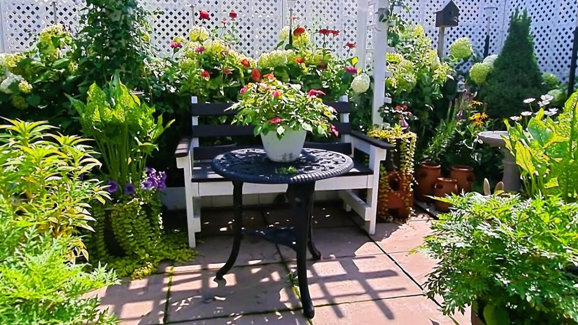 A Very Relaxing Garden Tour With Nature | BACKYARD GARDEN TOUR  #garden #gardentour  #nature #new