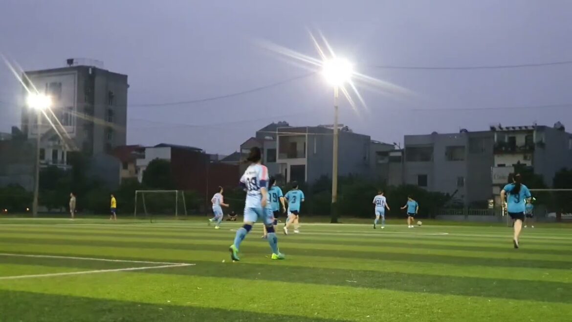 Gardening for Clean Air: Plants That Purify Your Space