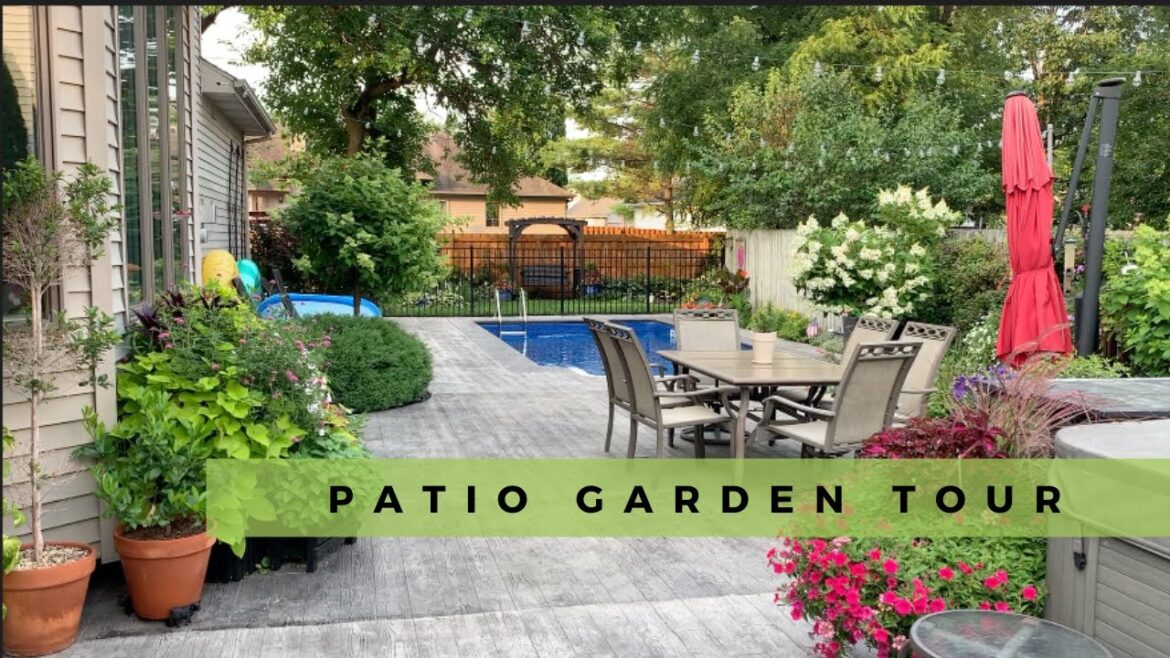 Patio Garden Tour in July 🪴- Edgy Gardner