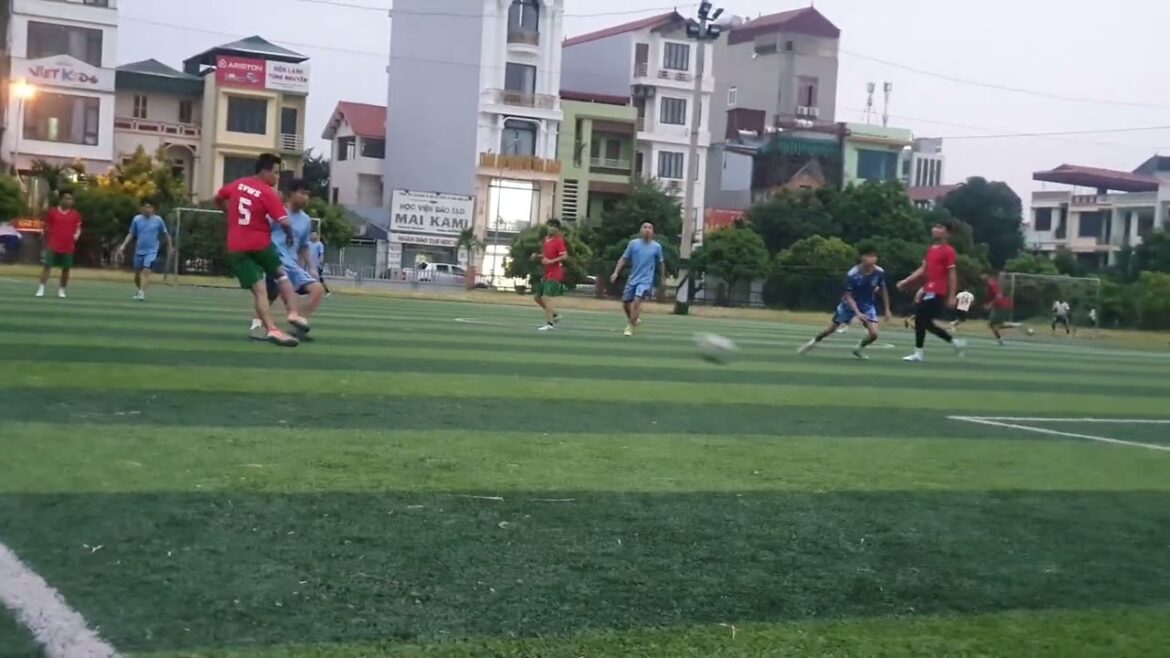 Raised Bed Revolution: Clean Gardening in Small Spaces