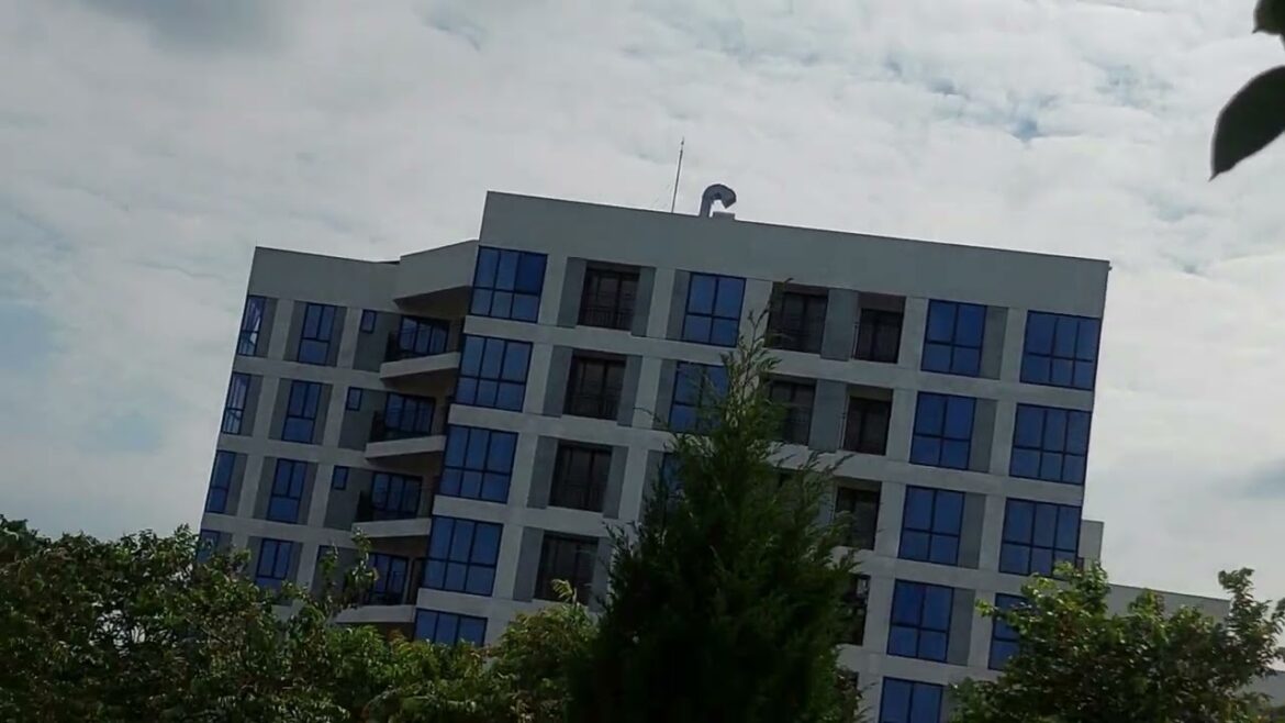 The Zen of Clean Gardening: Finding Balance in Nature