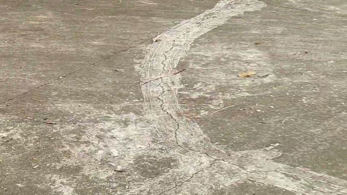 Gardening with a Purpose: Creating a Cleaner Future