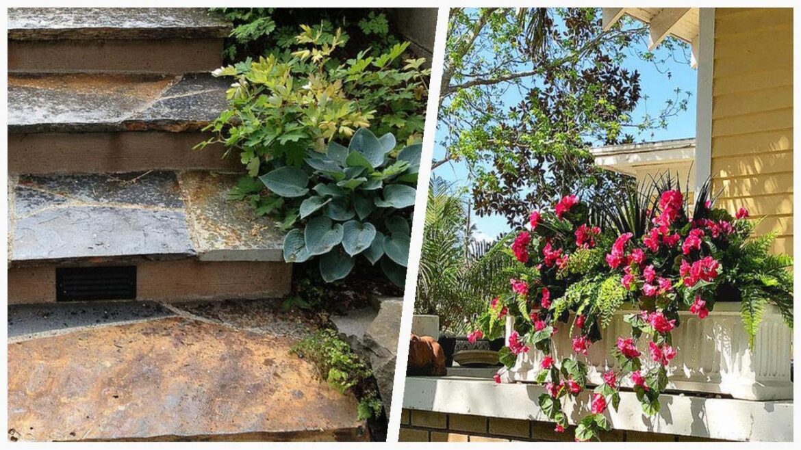 75 Small Porch Container Garden Design Ideas You’ll Love 🔴 75 Small Porch Container Garden Design Ideas You'll Love 🔴