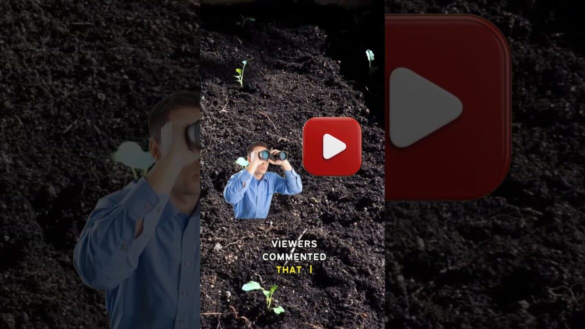 California Gardening: Perfect Spacing for Broccoli Plants | #Shorts Perfect Spacing for Broccoli Plants | #Shorts