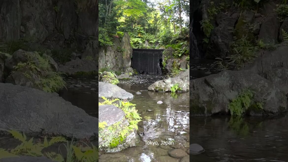 Tokyo, Japan – Japanese Garden Waterfall Tokyo, Japan - Japanese Garden Waterfall