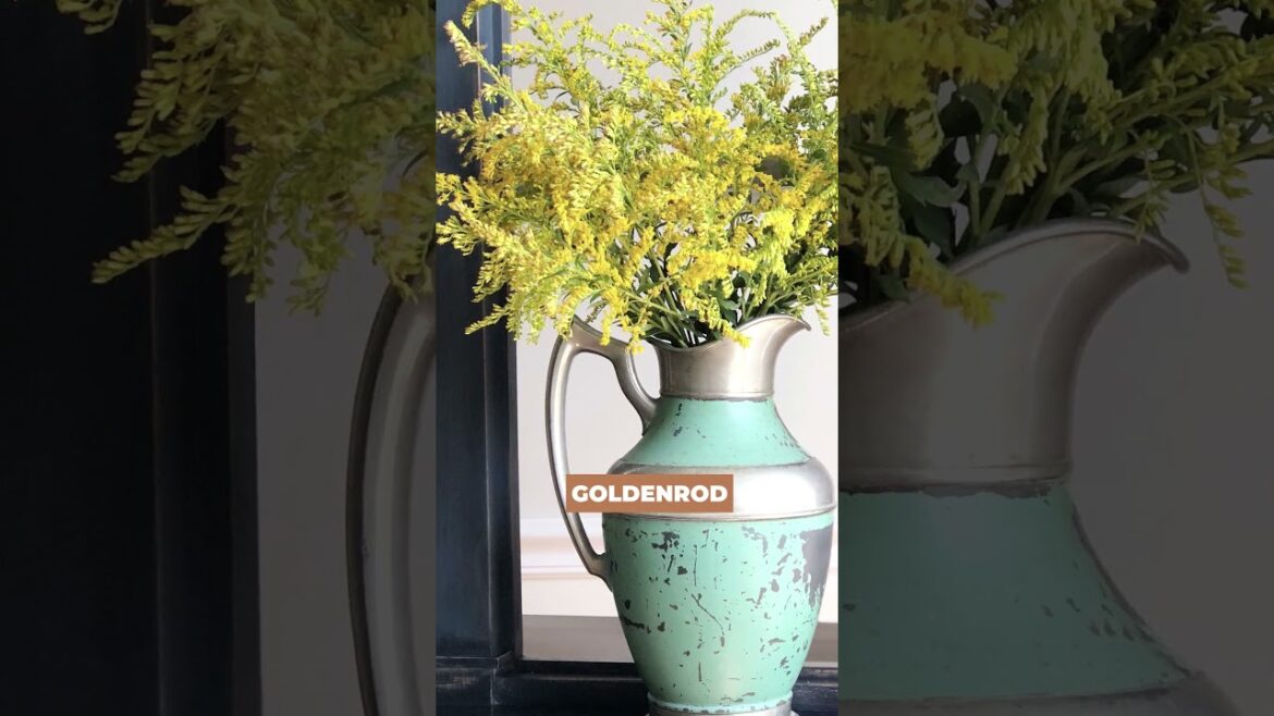 Great Fall Flowers and Plants for Containers and Gardens #garden #containergardening #flowers