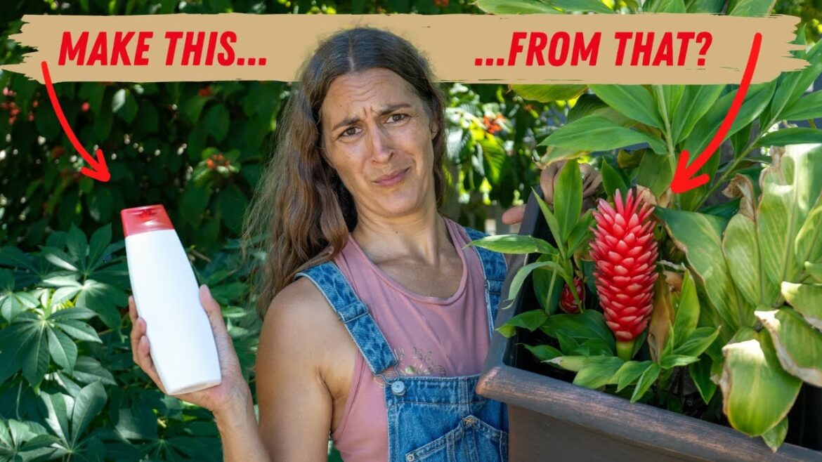 10 MUST GROW Plants for Homesteading (That Are NOT Food) 10 MUST GROW Plants for Homesteading (That Are NOT Food)