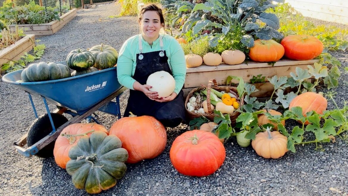 The Most Rewarding Harvest Yet! The Most Rewarding Harvest Yet!