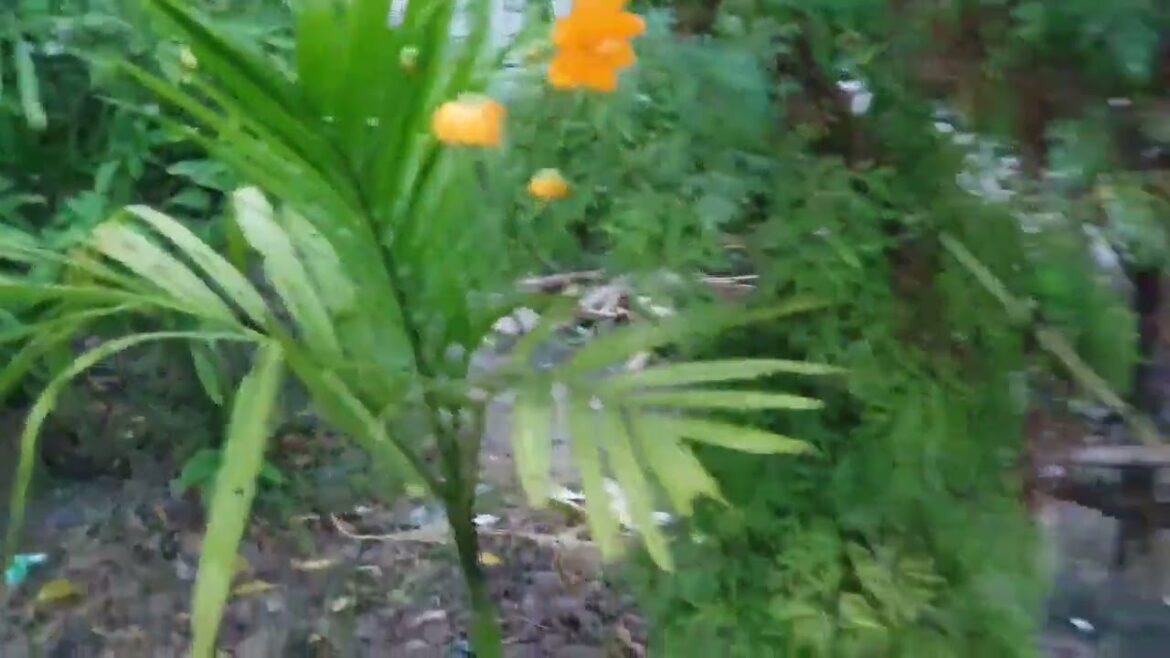 Gardening with Kids: Teaching Clean Habits from the Ground Up