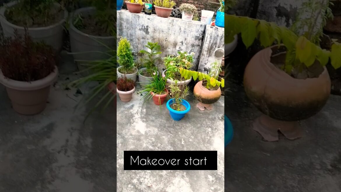 🏡garden makeover done #chlajatahu#diy#plants#lovegardening#youtubeshorts#containergardening😍🌿🍁🪴💕🏡🪴🙂😘 🏡garden makeover done #chlajatahu#diy#plants#lovegardening#youtubeshorts#containergardening😍🌿🍁🪴💕🏡🪴🙂😘