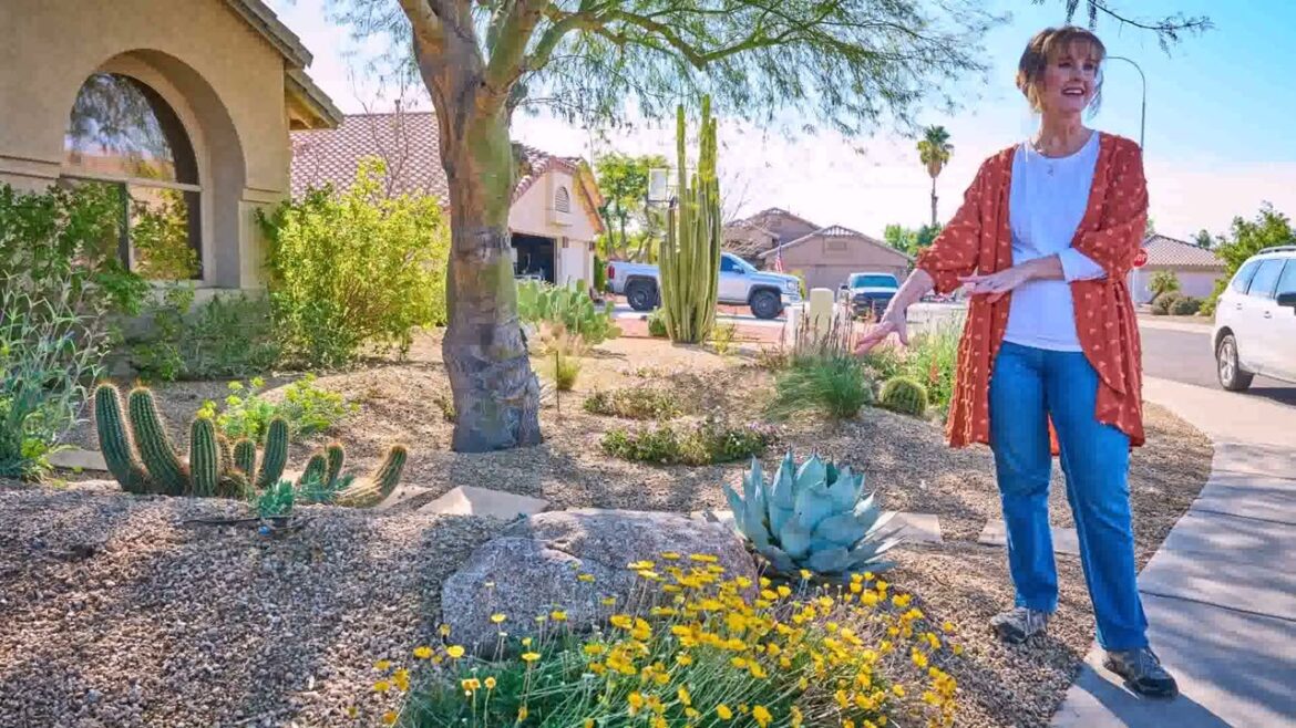 Front Yard Landscaping Ideas In Arizona