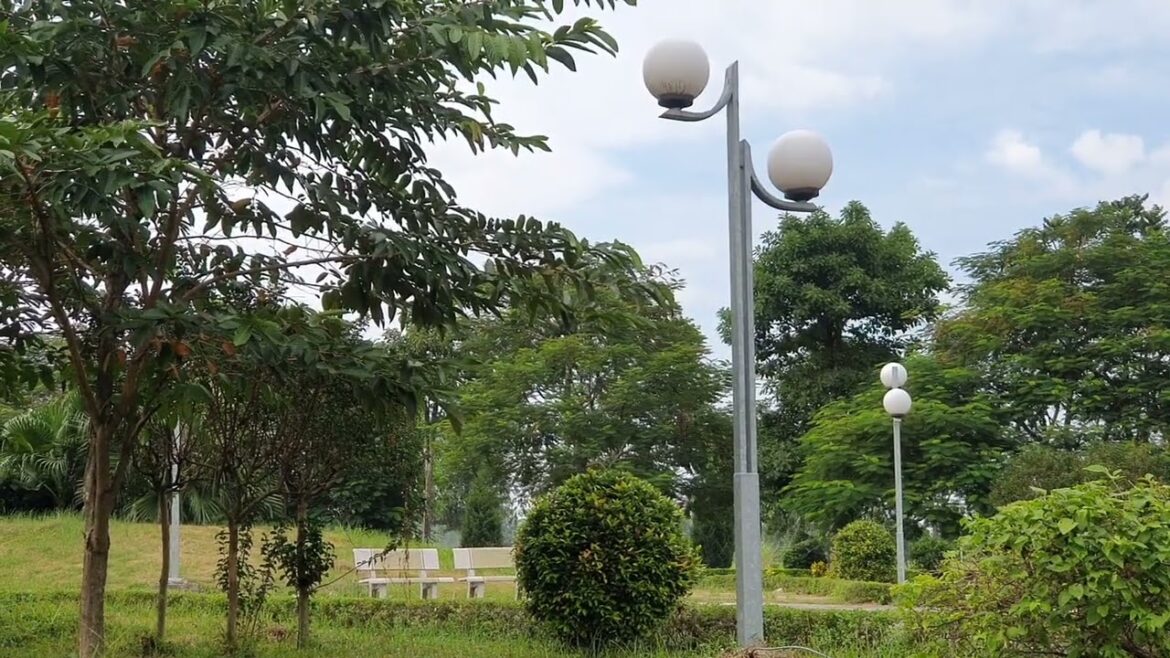 Organic Gardening Adventures: Growing Clean and Green