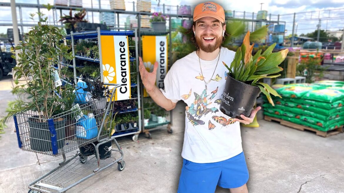 GARDEN MAKEOVER With CLEARANCE Plants! Native & Shade Plants!