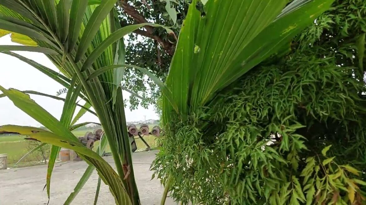 Sustainable Gardening Practices: Tending to a Green Oasis