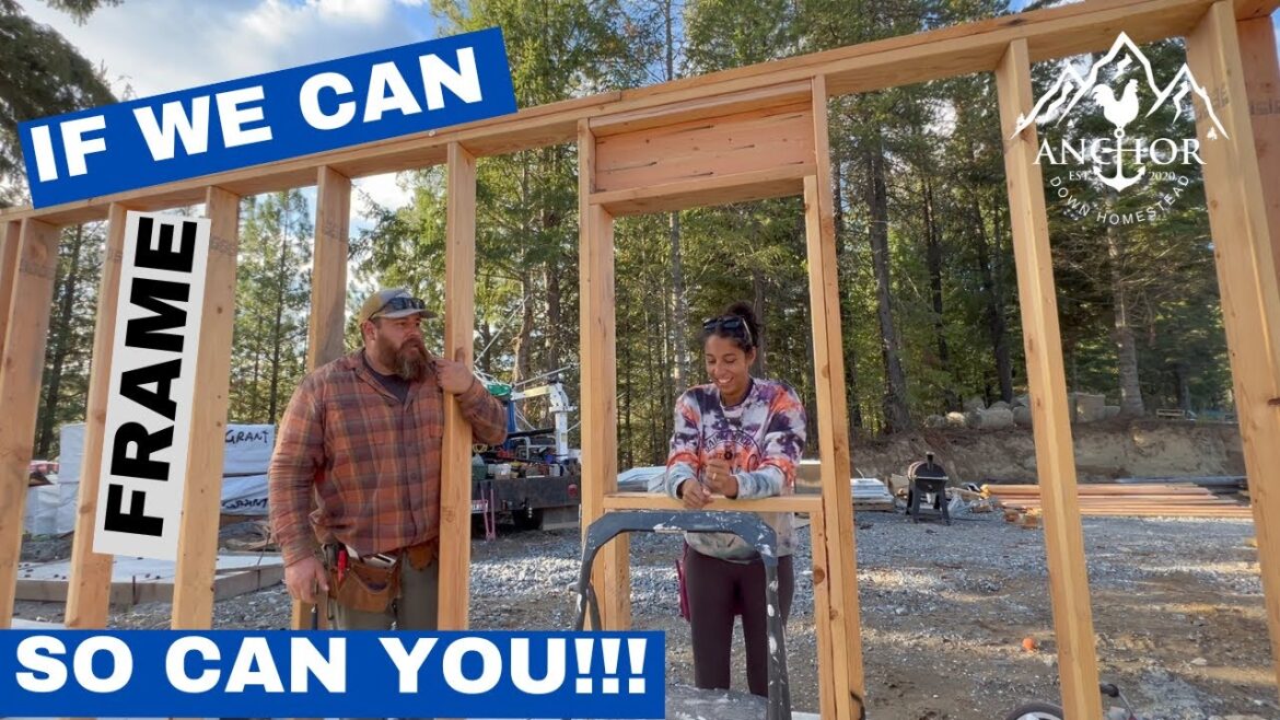 Finishing Framing: Windows, Headers, and Safety Sally | AnchorDownHomestead Finishing Framing: Windows, Headers, and Safety Sally | AnchorDownHomestead