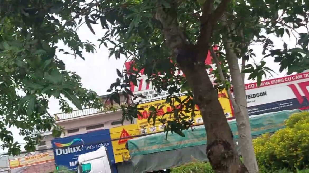 The Zen of Gardening: Mindful Practices for a Clean Space